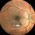 トゥルーカラー トゥルーカラー