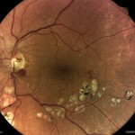 True color True color