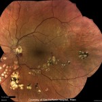 モザイク画像2 モザイク画像2